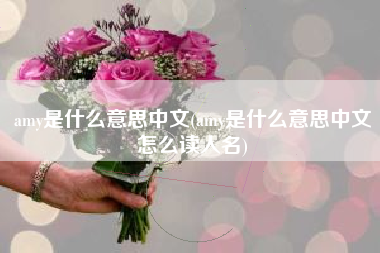 amy是什么意思中文(amy是什么意思中文怎么读人名)