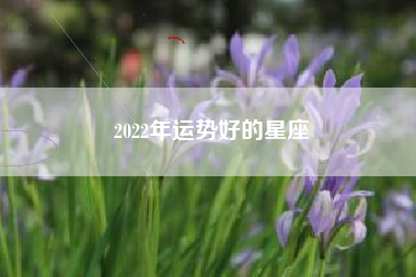 2022年运势好的星座