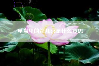 星盘里的第几宫是什么意思