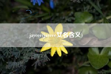 jaycee(jaycee女名含义)