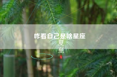 咋看自己是啥星座