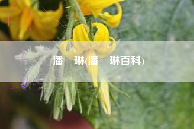 潘玥琳(潘玥琳百科)