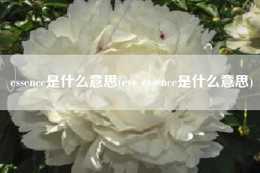 essence是什么意思(eye essence是什么意思)