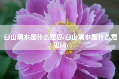 白山黑水是什么意思(白山黑水是什么意思啊)