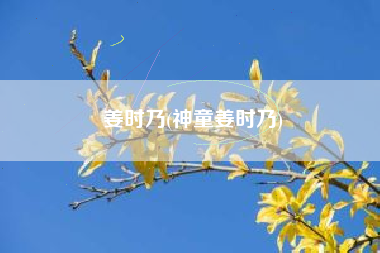 姜时乃(神童姜时乃)