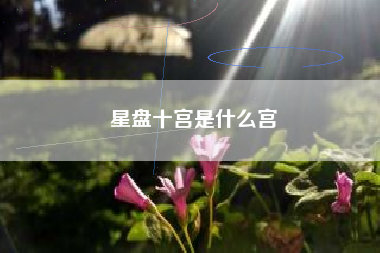 星盘十宫是什么宫