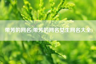 带芳的网名(带芳的网名女生网名大全)