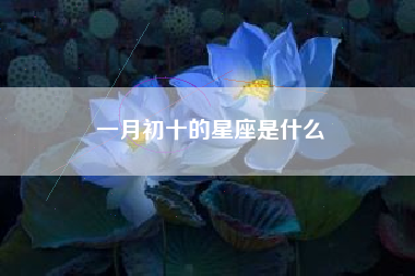 一月初十的星座是什么