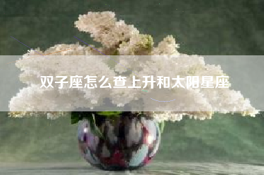 双子座怎么查上升和太阳星座