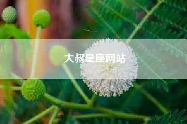 大叔星座网站