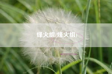 烽火组(烽火组)