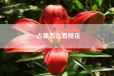 占星怎么看桃花