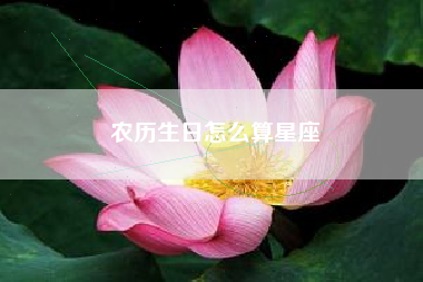 农历生日怎么算星座