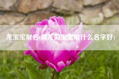 龙宝宝取名(属龙的宝宝取什么名字好)