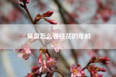 星盘怎么看桃花的年龄