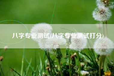 八字专业测试(八字专业测试打分)