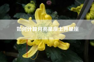 如何计算月亮星座上升星座