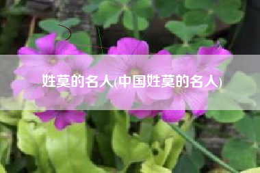 姓莫的名人(中国姓莫的名人)