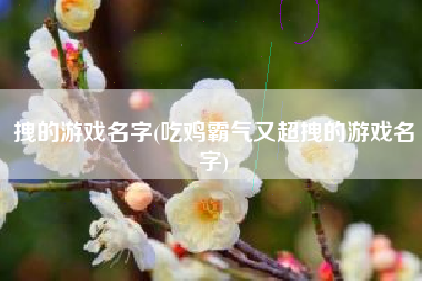 拽的游戏名字(吃鸡霸气又超拽的游戏名字)