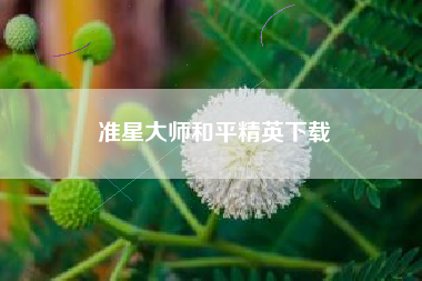 准星大师和平精英下载