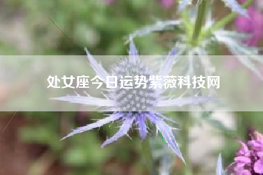 处女座今日运势紫薇科技网