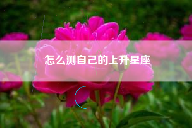 怎么测自己的上升星座