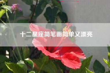 十二星座简笔画简单又漂亮