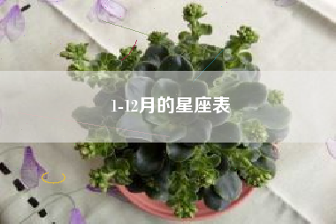 1-12月的星座表