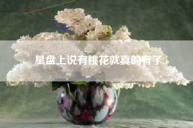 星盘上说有桃花就真的有了