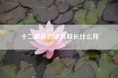 十二星座的水晶鞋长什么样