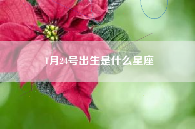 1月24号出生是什么星座