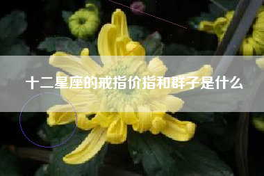 十二星座的戒指价指和群子是什么