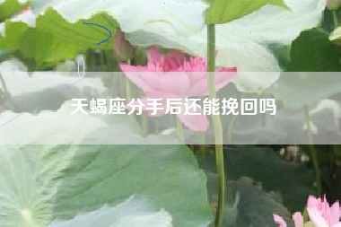 天蝎座分手后还能挽回吗