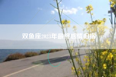 双鱼座2023年最终感情归宿