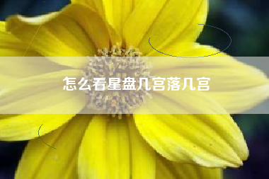 怎么看星盘几宫落几宫