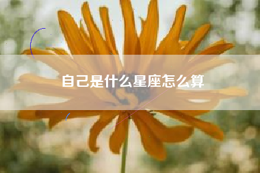 自己是什么星座怎么算