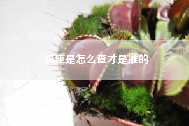 星座是怎么查才是准的