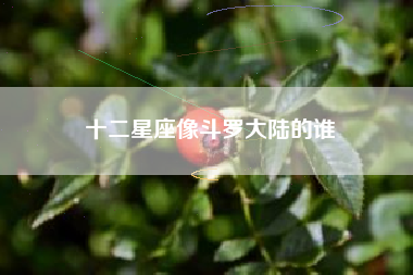 十二星座像斗罗大陆的谁