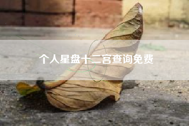 个人星盘十二宫查询免费