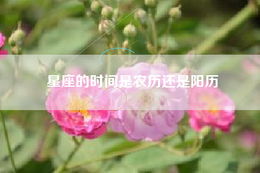 星座的时间是农历还是阳历