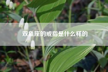 双鱼座的戒指是什么样的