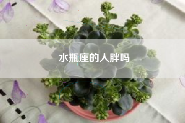 水瓶座的人胖吗