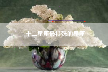 十二星座最特殊的星座