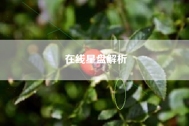 在线星盘解析