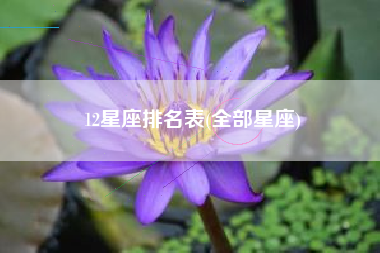 12星座排名表(全部星座)