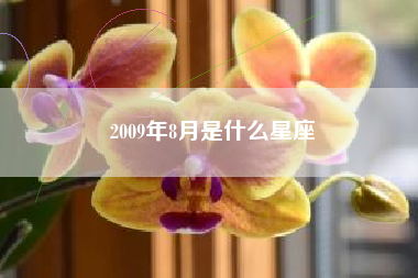 2009年8月是什么星座