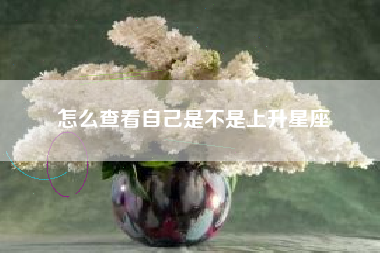 怎么查看自己是不是上升星座