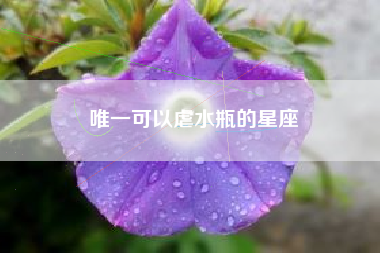 唯一可以虐水瓶的星座