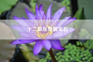 十二星座专属宝石