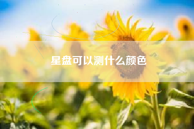 星盘可以测什么颜色